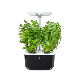 Veritable Soft Black Smart Exky 2-Slot Indoor Garden