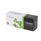 Veritable Organic Coriander Lingot