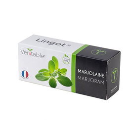 Veritable Marjoram Lingot