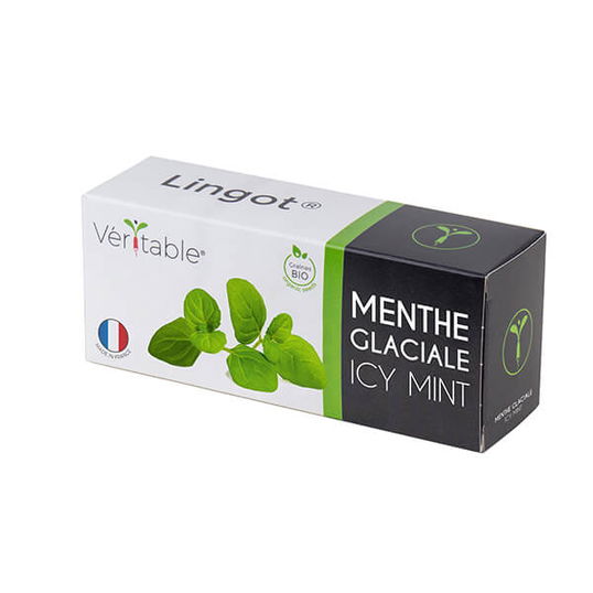 Veritable Icy Mint Lingot