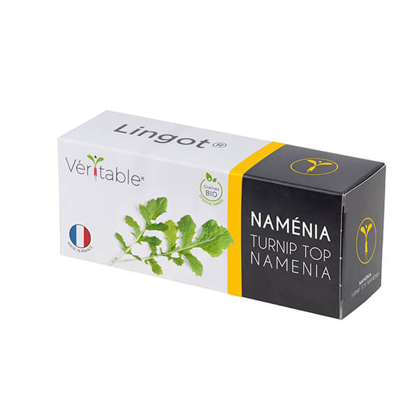 Veritable Namenia Lingot