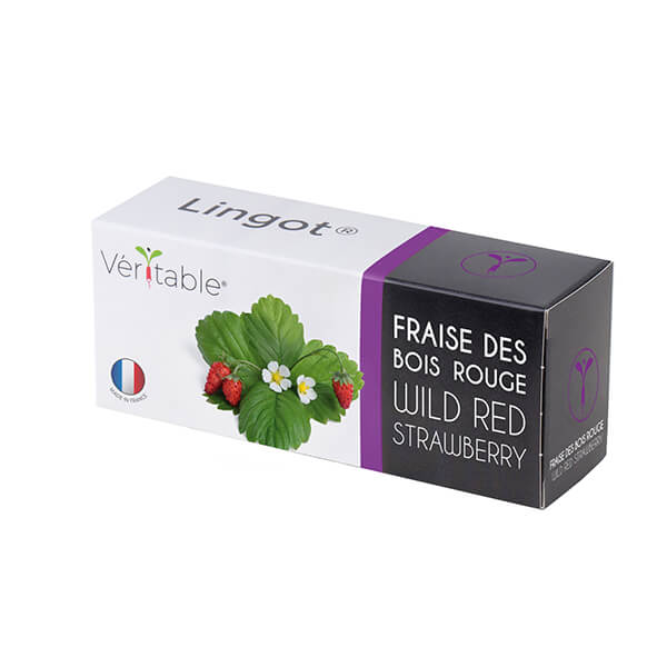 Veritable Wild Red Strawberry Lingot