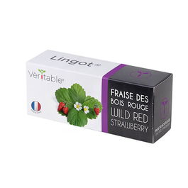 Veritable Wild Red Strawberry Lingot