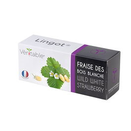 Veritable Wild White Strawberry Lingot