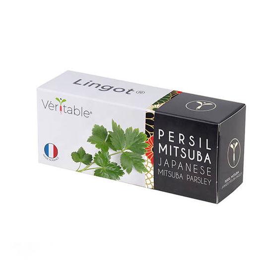 Veritable Japanese Parsley Lingot