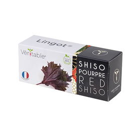 Veritable Organic Purple Shiso Lingot
