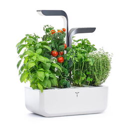 Veritable Infinity Grey Connect 4-Slot Indoor Garden