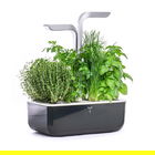 Veritable Soft Black Smart 4-Slot Indoor Garden