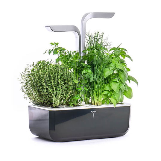 Veritable Soft Black Smart 4-Slot Indoor Garden
