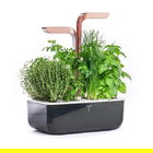 Veritable Black Copper Smart 4-Slot Indoor Garden