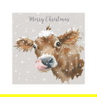 Wrendale Designs First Taste Of Snow Luxury Boxed Christmas Cards