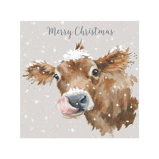 Wrendale Designs First Taste Of Snow Luxury Boxed Christmas Cards