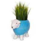Herdy Stoneware Planter Blue