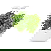 Veritable Arctic White Classic Exky 2-Slot Indoor Garden