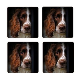 Rural Roots Springer Spaniel Coaster Pack Of 4