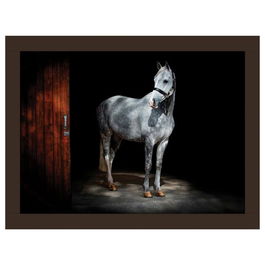 Rural Roots Horse Lap Tray