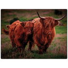 Rural Roots Highland Cows Worktop Saver