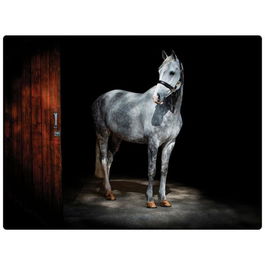 Rural Roots Horse Worktop Saver