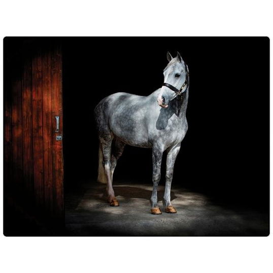 Rural Roots Horse Worktop Saver