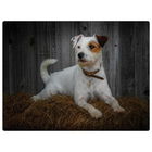 Rural Roots Jack Russell Worktop Saver