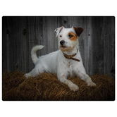 Rural Roots Jack Russell Worktop Saver