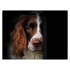 Rural Roots Springer Spaniel Worktop Saver