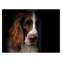 Rural Roots Springer Spaniel Worktop Saver