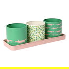 Scion Living Mr Fox Set of 3 Herb Pots Mint Leaf
