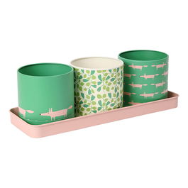 Scion Living Mr Fox Set of 3 Herb Pots Mint Leaf