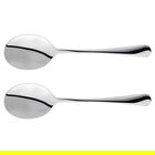 Judge Windsor Set Of Two Serving Spoon