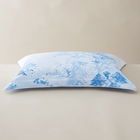 Ted Baker Landscape Toile Oxford Pillowcase Blue