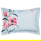 Ted Baker New Hampton Oxford Pillowcase Delphinium