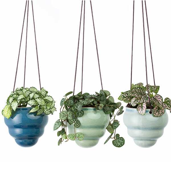 Burgon & Ball Hanging Pot Baby Bombino Trio