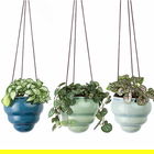 Burgon & Ball Hanging Pot Baby Bombino Trio