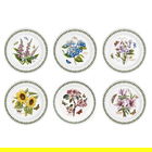Portmeirion Botanic Garden 10` Plate Set of 6