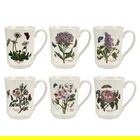 Portmeirion Botanic Garden Flared Tankard Set of 6