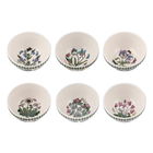 Portmeirion Botanic Garden 12.5cm Stacking Bowl Set of 6