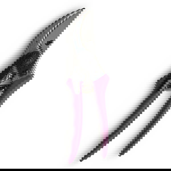RHS Passiflora Secateurs
