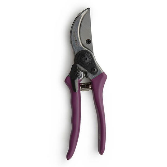 RHS Passiflora Secateurs