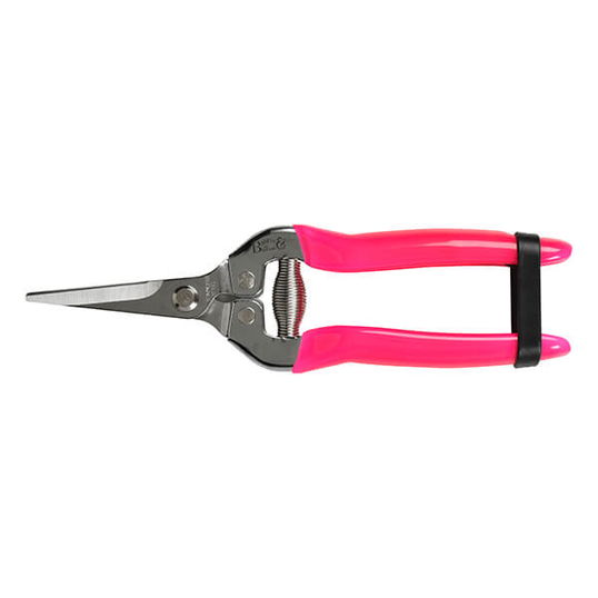 RHS Florabrite Fluorescent Flower & Fruit Snip - Pink