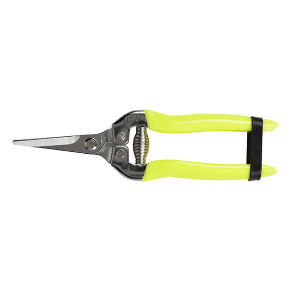 RHS Florabrite Fluorescent Flower & Fruit Snip - Yellow