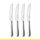Robert Welch Warwick Bright 4 Piece Steak Knife Set