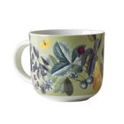 Royal Botanic Gardens Kew Fruit And Floral Green Mug 290ml