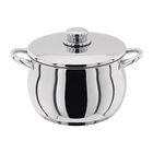 Stellar 1000 22cm Stockpot
