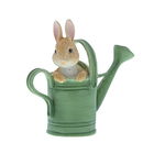 Beatrix Potter Peter In Watering Can Mini Figurine