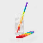 Taylor`s Eye Witness Set of 4 Rainbow Silicone Reusable Drinking Straws