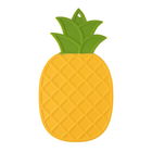 Taylor`s Eye Witness Silicone Pineapple Trivet & Placemat