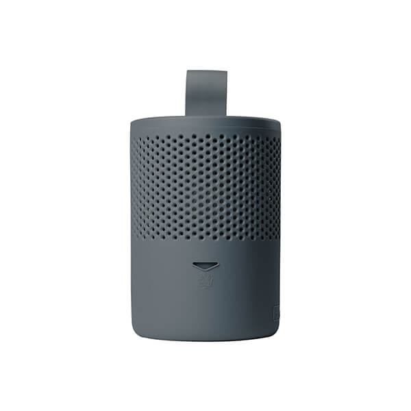 Absodry Duo Family Dark Grey Dehumidifier