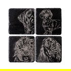 The Just Slate Company Set of 4 Mixed Dog Slate Coasters
