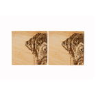 The Just Slate Company Set of 2 Labrador Oak Coasters